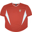 Camiseta de la selección de fútbol del Real Murcia