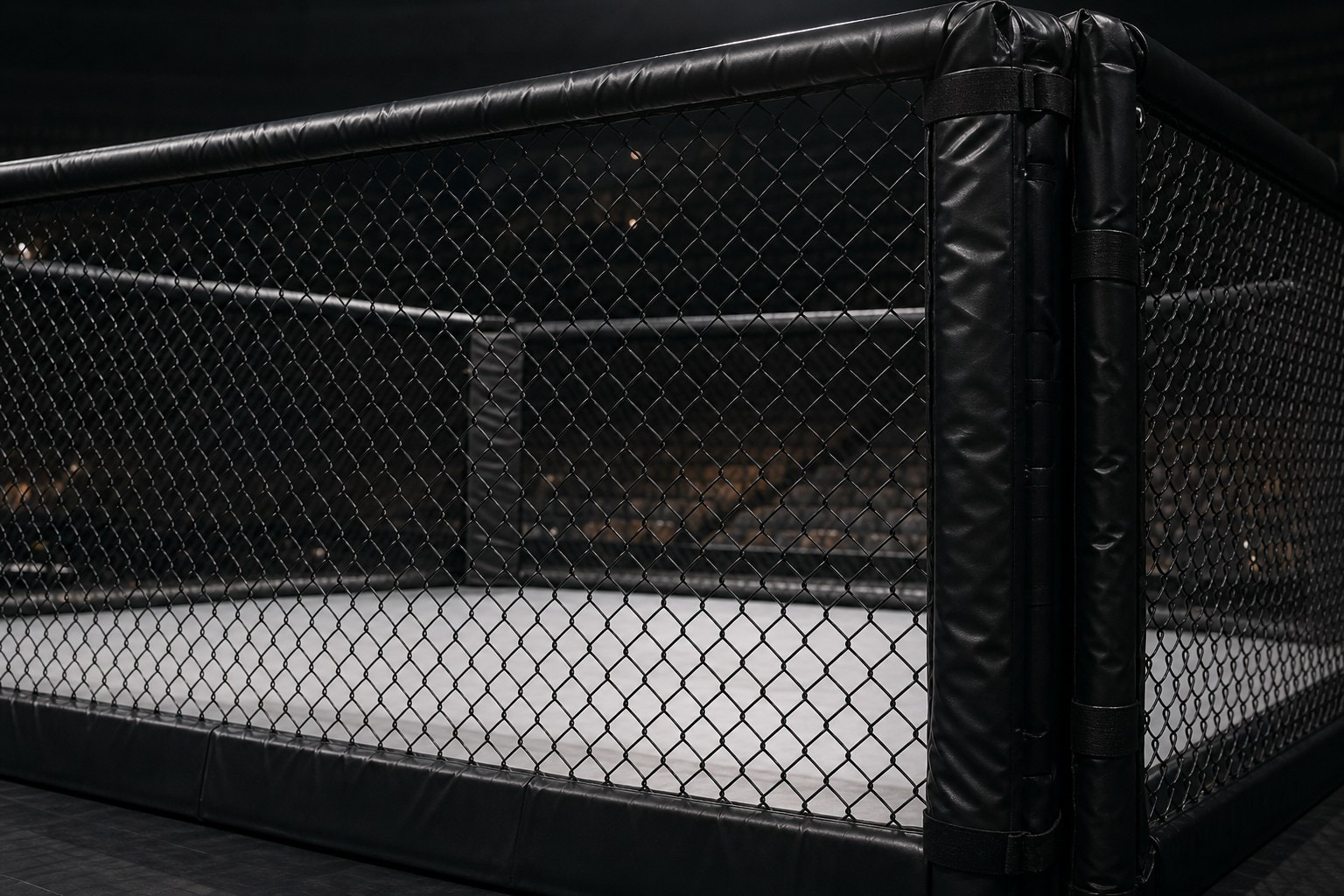 Octágono de la UFC vacío con la valla acolchada y la lona blanca en un pabellón en penumbra